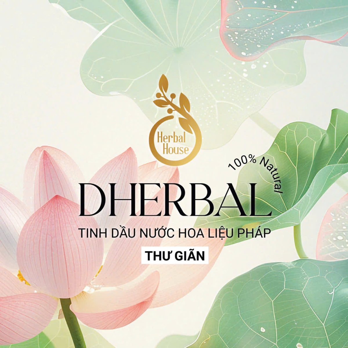 TINH DẦU NƯỚC HOA LIỆU PHÁP DHERBAL - THƯ GIÃN