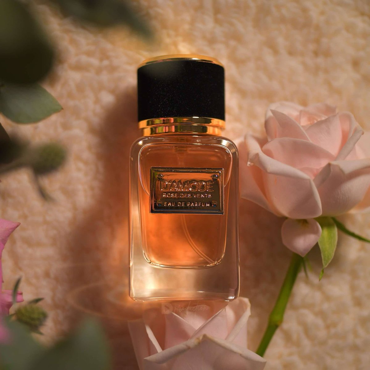 D Amode Rose Des Vents (For Women) Công Chúa Hoa Hồng